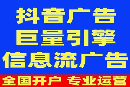 网络推广与竞价策略实战案例